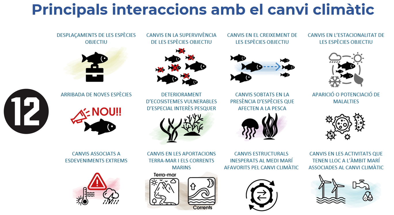 Esquema general dels efectes del canvi climàtic al sector pesquer